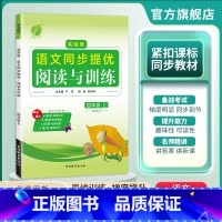 语文 四年级上 [正版]2024年秋 小学语文实验班同步提优阅读与训练四年级上册人教版 4年级上语文RJ版同步专项训练写