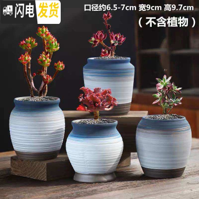 三维工匠多肉花盆陶瓷粗陶透气室内简约肉肉盆栽特大口径花盆 老桩四个一组-蓝天 中等花盆容器