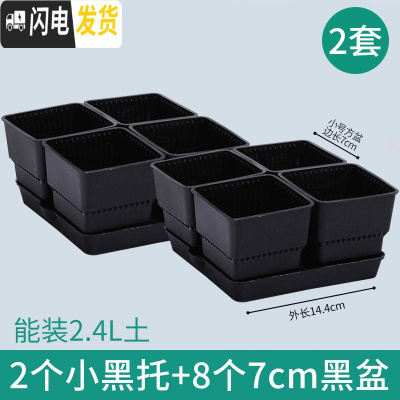 三维工匠美莳控根多肉花盆塑料套装组合创意透气肉肉控型盆器带托盘小花盆 2小黑托+8个黑盆(7cm盆) 小花盆容器