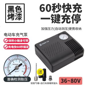 [补贴10%]电瓶车电动摩托车便携式车载打气筒汽车48V60V72V96V通用充气泵 升级烤漆指针款[黑色 36-80V