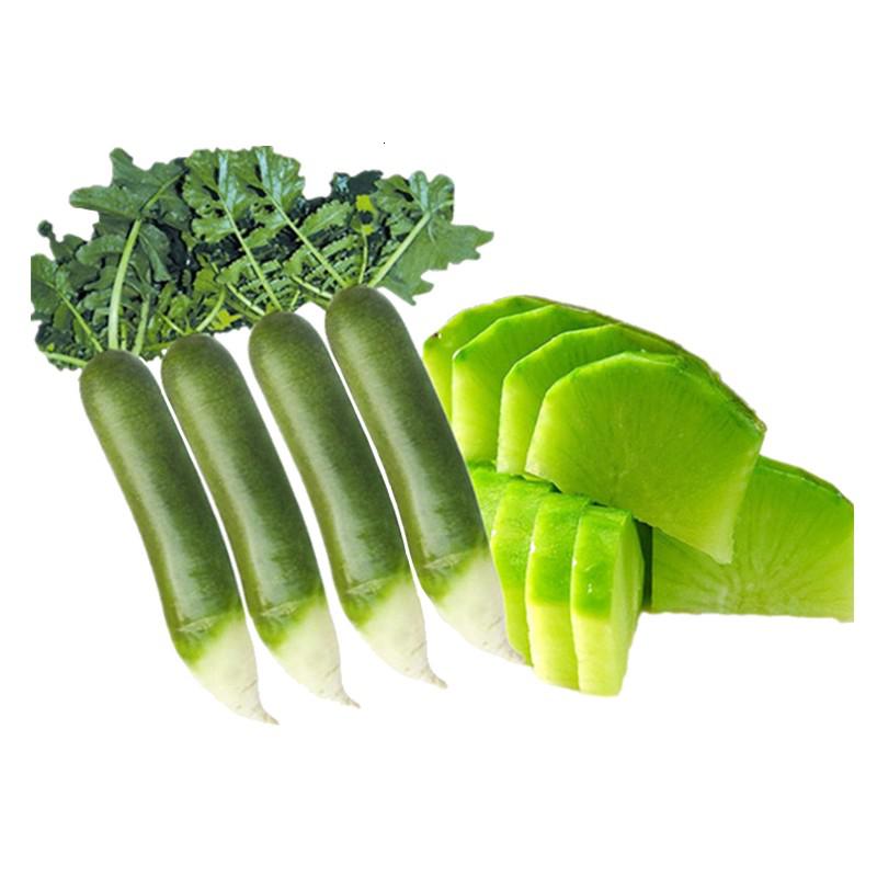 沙窝萝卜现拔潍坊青萝卜生吃新鲜甜脆水果绿皮青皮萝卜青萝卜 5斤
