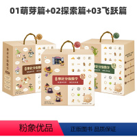 全套 萌芽篇+探索篇+飞跃篇 [正版]学而思新品摩比分级数学独创溯源学习法学前逻辑思维训练绘本3-4-8岁幼儿园小中大班