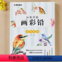 [正版]墨点美术彩铅画基础教程初学者从零开始画彩铅花鸟乐园画画入门自学零基础临摹画册美术书