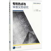音像专利热点与审查实务研究陈玉华主编