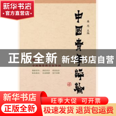 正版 中国青年评论:第1辑:中间地带的青春中国 廉思主编 社会科学