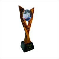 99虹和美 羽毛球奖杯