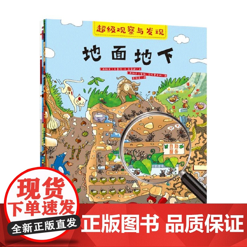 超级观察与发现 全4册 马塞洛·E.马桑迪 著 智力开发