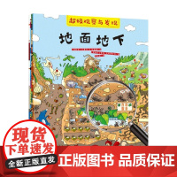 超级观察与发现 全4册 马塞洛·E.马桑迪 著 智力开发