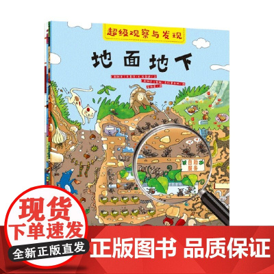 超级观察与发现 全4册 马塞洛·E.马桑迪 著 智力开发