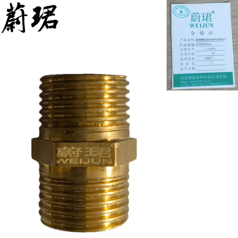 蔚珺铜对丝6分DN20mm个