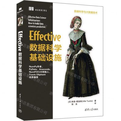 [N]Effective数据科学基础设施(数据科学与大数据技术)-9787302641865