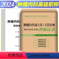 [正版]2024年肿瘤内科副主任/主任医师职称考试冲刺押题试卷正高副高考试高级卫生专业技术资格考试辅导丛书拂石医典辽宁