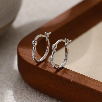 S925纯银圆圈扭纹耳环ins风简约时尚百搭气质耳饰批发送女友礼物送女朋友老婆情人节七夕生日礼物