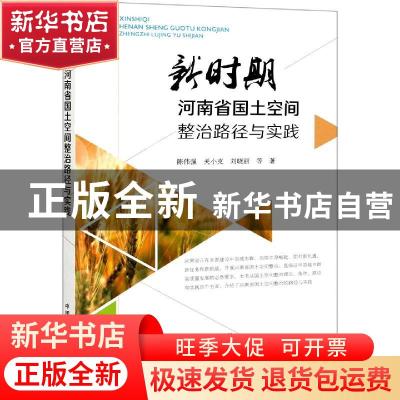 正版 新时期河南省国土空间整治路径与实践 陈伟强,关小克,刘晓丽