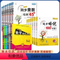 同步培优100分 小学六年级 [正版]小学数学培优必刷1000题同步培优100分专题特训奥数经典45讲一二三四五六年级上