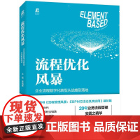 机工 流程优化风暴:企业流程数字化转型从战略到落地 王磊 等编著