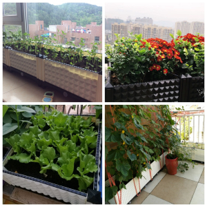 美帮汇全新阳台种菜盆家庭特大种菜箱长方形塑料花盆户外种植箱室外花箱