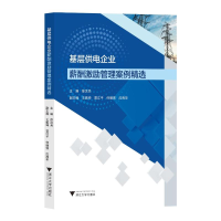 音像基层供电企业薪酬激励管理案例精选徐汉兵
