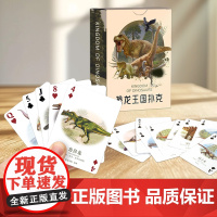 恐龙王国扑克牌儿童益智游戏卡专注力训练卡找不同2-6岁儿童思维训练益智早教卡图书幼儿三到六岁益智游戏书籍卡片3岁6启蒙识