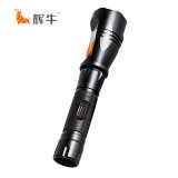 辉牛 摄像手 电 HN7119 个