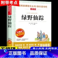 绿野仙踪 [正版]昆虫记法布尔原着完整版全集 适合小学生三年级四年级上册下册阅读课外书必读的八年级名著全套上 下学期书目