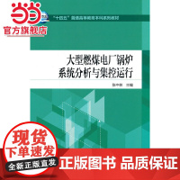 ”十四五“普通高等教育本科系列教材 大型燃煤电厂锅炉系统分析与集控运行