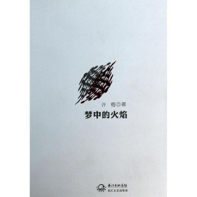 正版新书]梦中的火焰/许梅许梅9787535468840