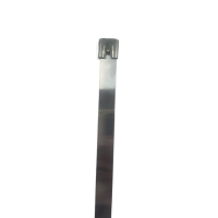 传承令 不锈钢扎带 12*2400mm 根