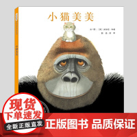 小猫美美(正版硬壳精装)安东尼布朗,友情主题儿童绘本3三-4-5到6岁以上幼儿园大中小班宝宝孩子早教阅读睡前启蒙故事图画