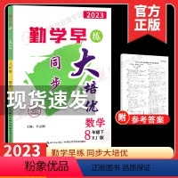 2023大培优 八下数学 初中通用 [正版]2023新版勤学早大培优8八年级上册物理人教版学生用书 大培优八上数学初二上