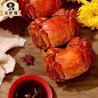 25年贝师傅大闸蟹1188型-贝乐团圆 (公蟹3.6两 5只+母蟹2.6两 5只)非质量问题不支持退货