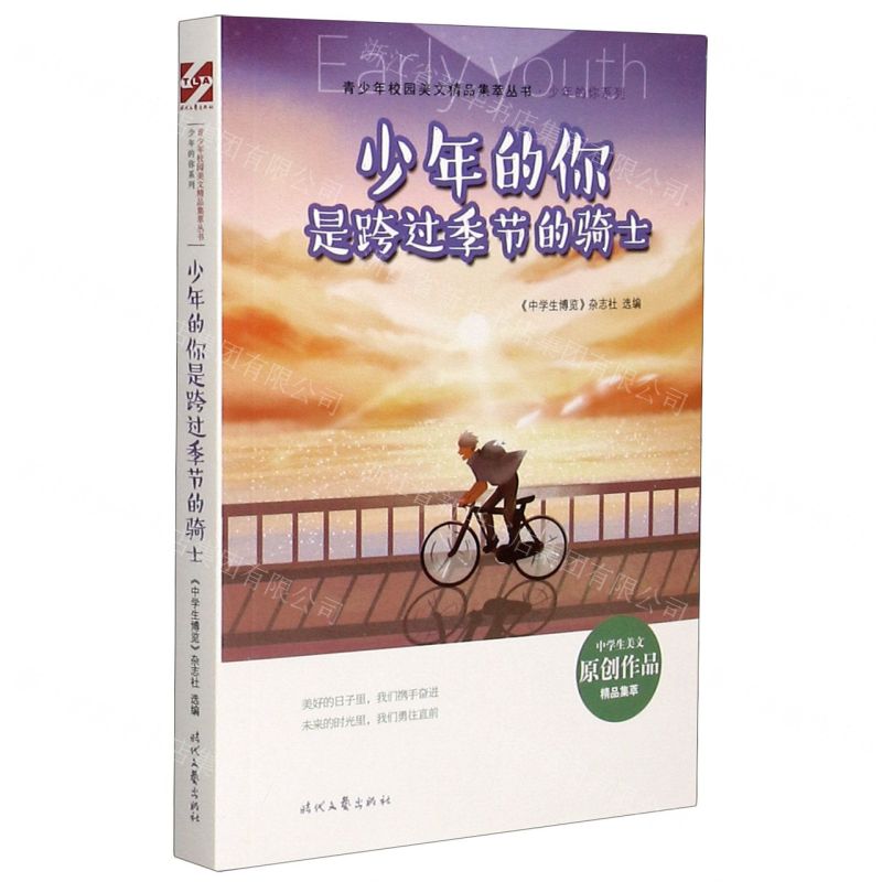 [N]少年的你是跨过季节的骑士/少年的你系列/青少年校园美文精品集萃丛书-9787538765854