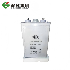 双登铅酸蓄电池GFM-300 含配件