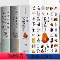 [正版]3册 新编说文解字+历史文化常识全知道+不可不知的3000个文化常识书籍 国学经典诵读画说汉字 汉字真好玩汉字