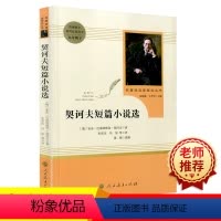 契诃夫短篇小说选 9年级下 人民教育出版社 [正版]艾青诗选水浒传儒林外史简爱人民教育出版社原著无删减完整版九年级上册必
