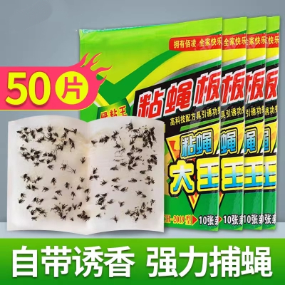 粘蝇纸苍蝇贴强力粘蝇板灭蝇子蚊子杀手克星捕捉器饭店一扫光自带 50片