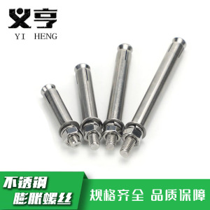 义亨 不锈钢膨胀螺丝 M12*150 个