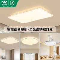 雷士照明NVC 语音智能遥控吸顶灯客厅灯卧室灯吊灯灯具套餐浪漫满天星现代简约灯具客厅吸顶灯套餐PDD