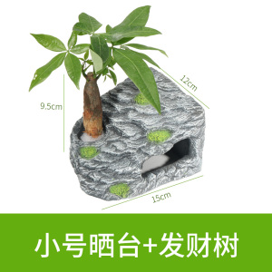 龟缸爬台造景假山晒背台龟台喂食用品用具头龟趴台大号