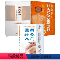 [正版]全3册图解针灸入门针灸穴位全真图解第二版井穴通络健康触手可及张忠尹爱兵郭长青从零开始学中医针灸基础 作教程指导