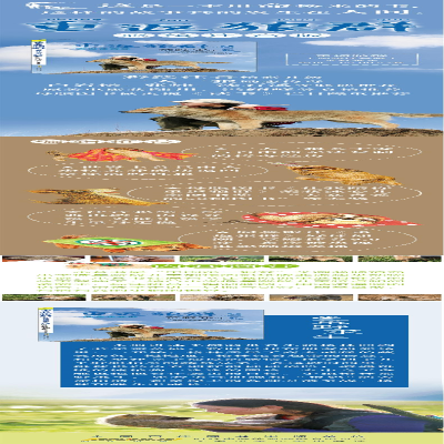 [M]重返狼群 2 荒野求生 彩绘注音版-9787570706778