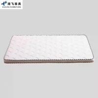 阔飞 棕垫 1000*2000 张