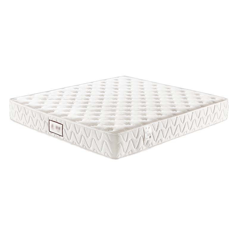 帅畅压缩卷包席梦思床垫独立弹簧天然乳胶超软折叠B款/[硬质绵+独立布袋簧]舒适适中硬厚约22cm