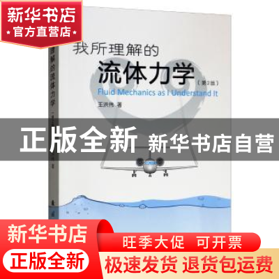 正版 我所理解的流体力学 王洪伟 著 国防工业出版社 97871181180