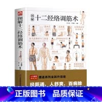 十二经络调筋术 [正版]图解十二经络调筋术 十二经筋疏通法全图解 一学就会 50种经筋病症的康复训练 12种经筋功用介绍