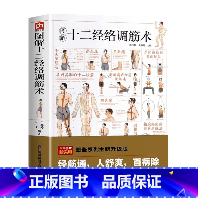 十二经络调筋术 [正版]图解十二经络调筋术 十二经筋疏通法全图解 一学就会 50种经筋病症的康复训练 12种经筋功用介绍