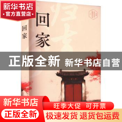 正版 回家 王海著 陕西人民出版社 9787224149746 书籍