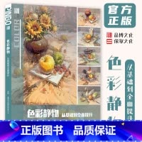 [正版]色彩静物从基础到全面提升 2024品博文化