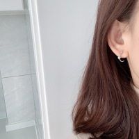 韩国别致弧形细叶子天蓝钻银针耳钉女