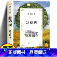 甜橙树 [正版] 甜橙树 儿童文学名家名作美绘本曹文轩小说 书籍 三年级四五六年级初中课外书9-15岁读物故事 天天出